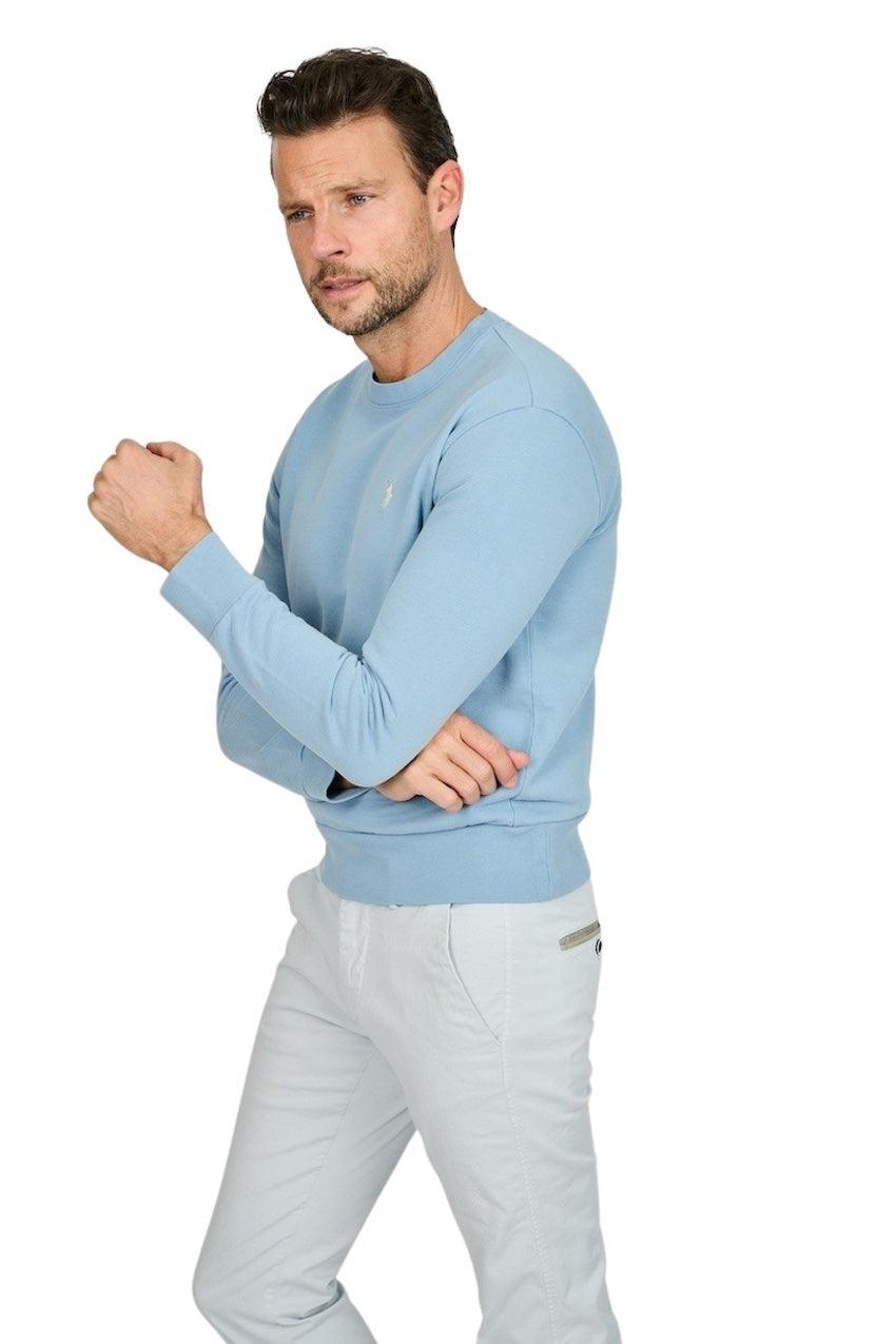 Polo Ralph Lauren Men sweater heren blauw - Artson Fashion