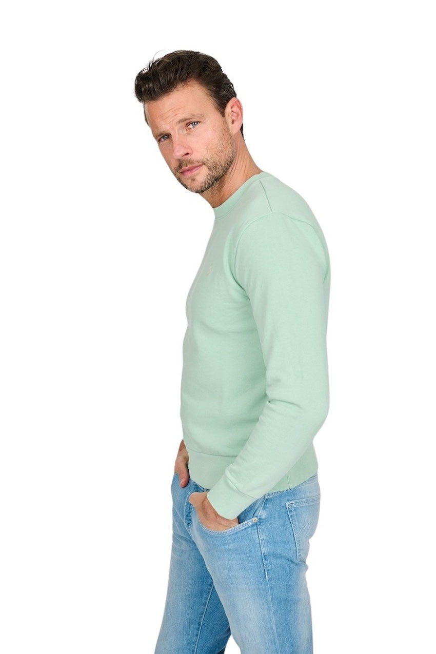 Polo Ralph Lauren Men sweater heren groen - Artson Fashion